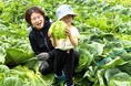 野菜収穫体験やサラダパーティー　高崎市で「畑のリアル体験」　9月5日（土）〔群馬〕