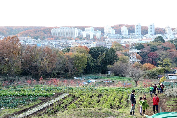 稲城市の住宅地に隣接する「いなぎめぐみの里山」