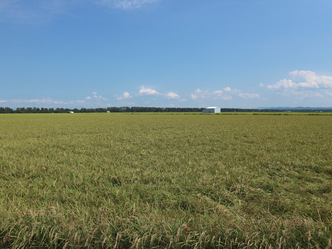 大潟村は干拓農地で、圃場が大きく、整備がしっかりされている