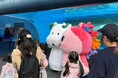 水族館から海の環境保全と国内水産業を応援