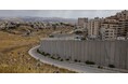 オリーブ原産地パレスチナを知る 占領下の産地に起きていること