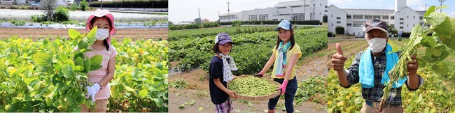 過去の収穫体験会