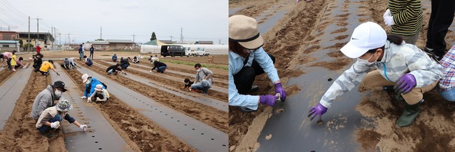 4月の種まき体験