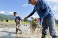 新緑の秋田で田植えや山菜摘み 生産者との協同で知る産地の魅力 5月24日(土)25日(日)〔東京・千葉〕