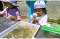 米づくりの“真髄”知ろう 佐久市で草取り体験と生き物観察 6月28日(土)〔東京〕