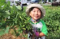 伊勢崎市で夏の農業体験 4月に種まきした枝豆の収穫・試食 7月12日(土)〔群馬〕