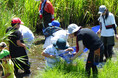 夏休み涸沼で生き物観察 ラムサール湿地で感じる生物多様性 7月26日(土)〔茨城 栃木〕