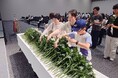 被爆・戦後80年 利用者や役職員93人が広島と長崎を訪問