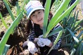 伊勢崎市と高崎市で農業体験会　ねぎ・さつまいも・にんじんなど収穫　11月8日（土）15日（土）〔群馬〕