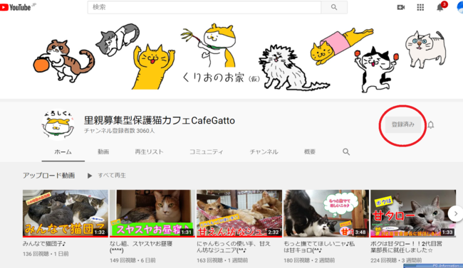 里親募集型保護猫×古民家カフェCafe GattoのYouTubeチャンネルトップ画面。これまでの「にゃぱねっと」や日々のCafe Gattoの猫たちの様子などもご覧いただけます。