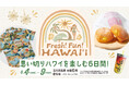 【玉川高島屋】思い切りハワイを楽しむ6日間!6月4日(水)から「フレッシュファンハワイ」開催