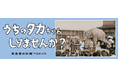 【高島屋史料館TOKYO】うちのタカちゃん 知りませんか?