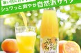 【高島屋】暑い日に飲みたい!シュワっと爽やか自然派サイダー特集! お子様から大人まで楽しめる、個性派のご当地サイダーなど、とっておきをセレクト!
