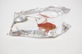 【新宿高島屋】新進気鋭のアーティストの作品約20点を展示販売。「河崎海斗展」、7月22日（水）から28日（火）まで開催。