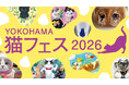 【横浜高島屋】 “にゃん”とも幸せな会場まるごと猫まみれ！37人の作家が集う＜YOKOHAMA 猫フェス2026＞を開催！