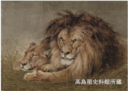 下絵　≪獅子図≫　日本画家・神坂松濤　明治中期～大正期　紙本着彩