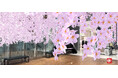 【新宿高島屋】スマートフォンで一足早く満開の「桜」のお花見が楽しめます! 『ARさくらまつり in 新宿高島屋』