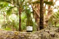 2025年に創立40周年を迎えるニュージーランド ワイン「CLOUDY BAY」節目の年を飾る新ヴィンテージは“記憶に残る”夢のようなワイン「クラウディー ベイ ソーヴィニヨン ブラン 2024」