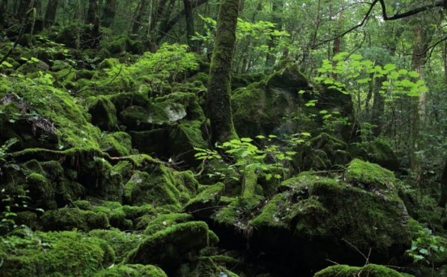 横倉山県立自然公園