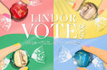 夏の“推しリンドール”に一票を『LINDOR VOTE 2026／リンドール総選挙』を6月1日より開催