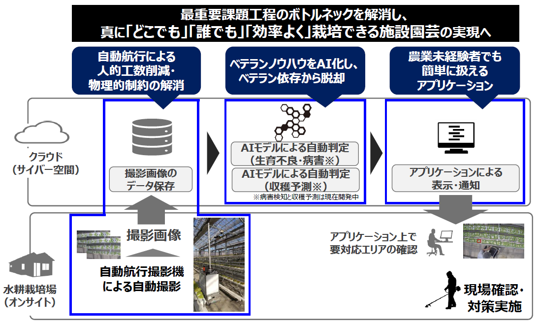 室内水耕栽培におけるai実証試験 レタス栽培の不良苗検出 開始から2か月で判定精度97 実現 株式会社トーヨーホールディングスのプレスリリース