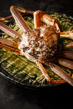 鷹庵から最短距離の漁港で水揚げされた1kg級のタグ付きズワイガニ