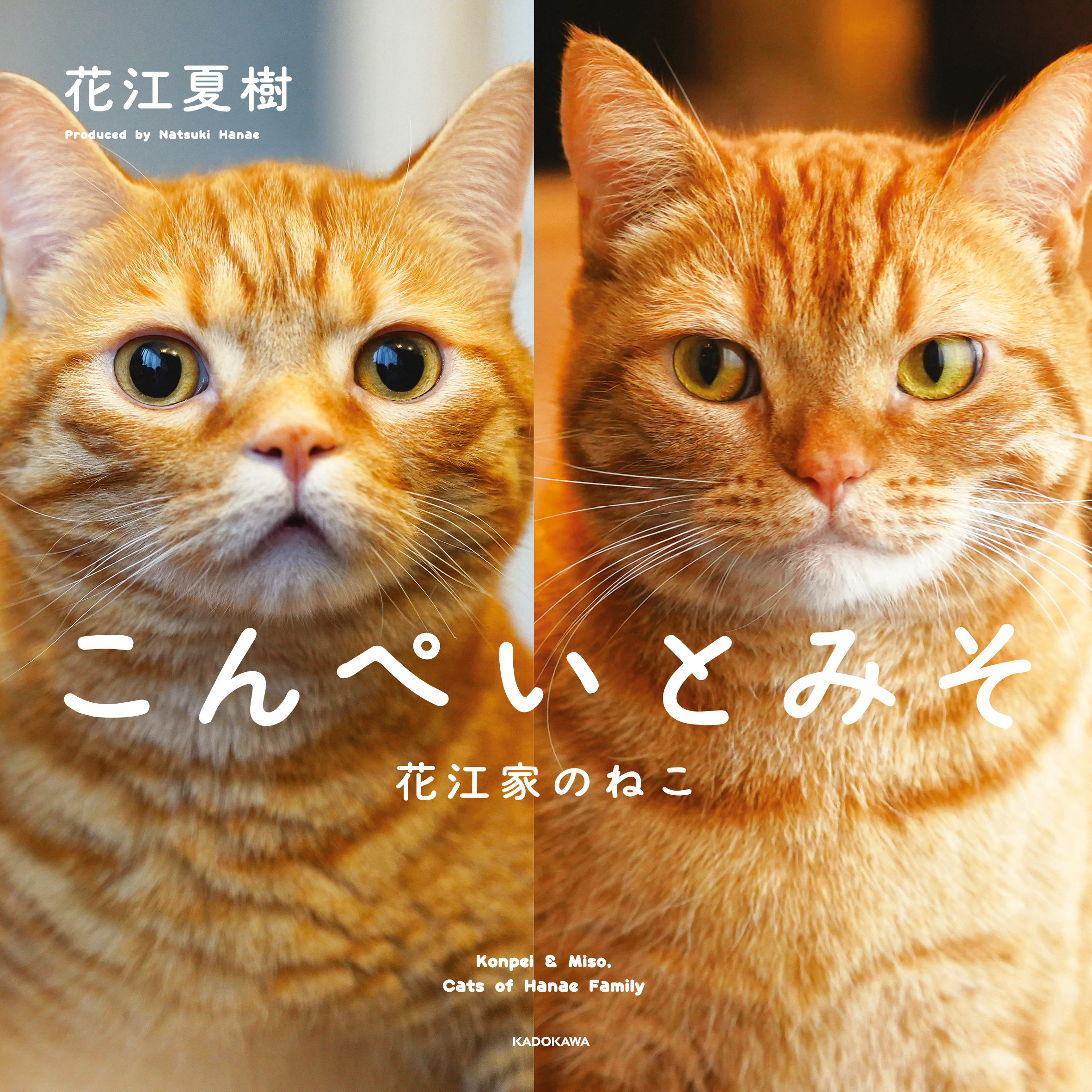 カフェ猫(油絵)