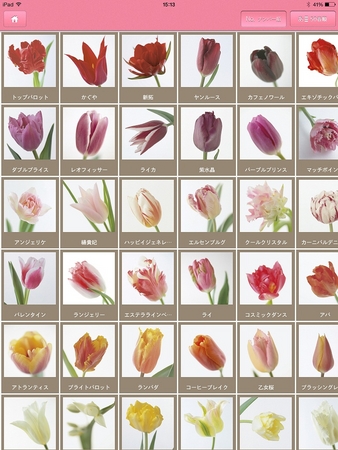 これまでで最高のチューリップ 図鑑 最高の花の画像