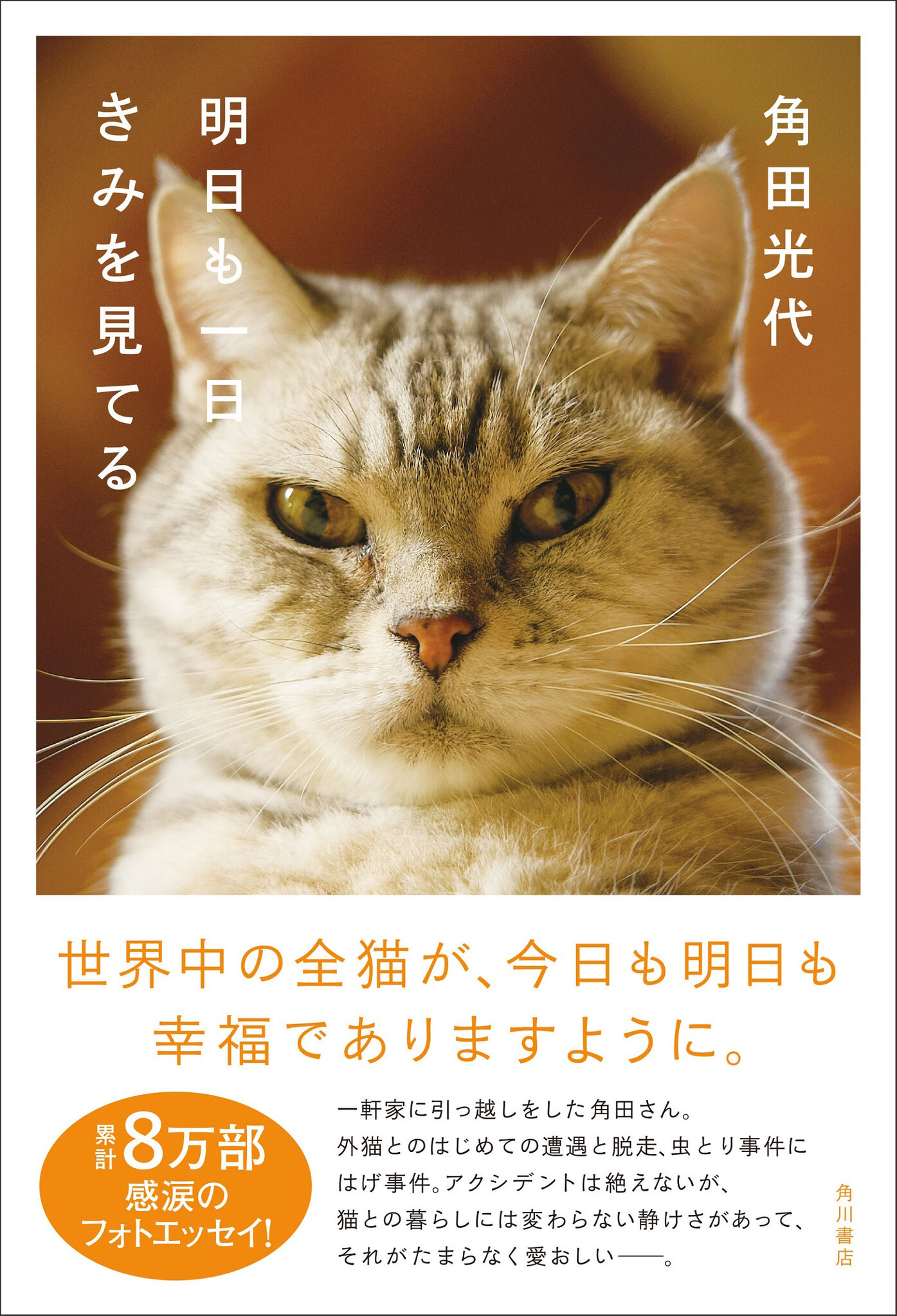 角田光代が飼い猫トトとの暮らしを愛情120％で描いた、極上のフォト