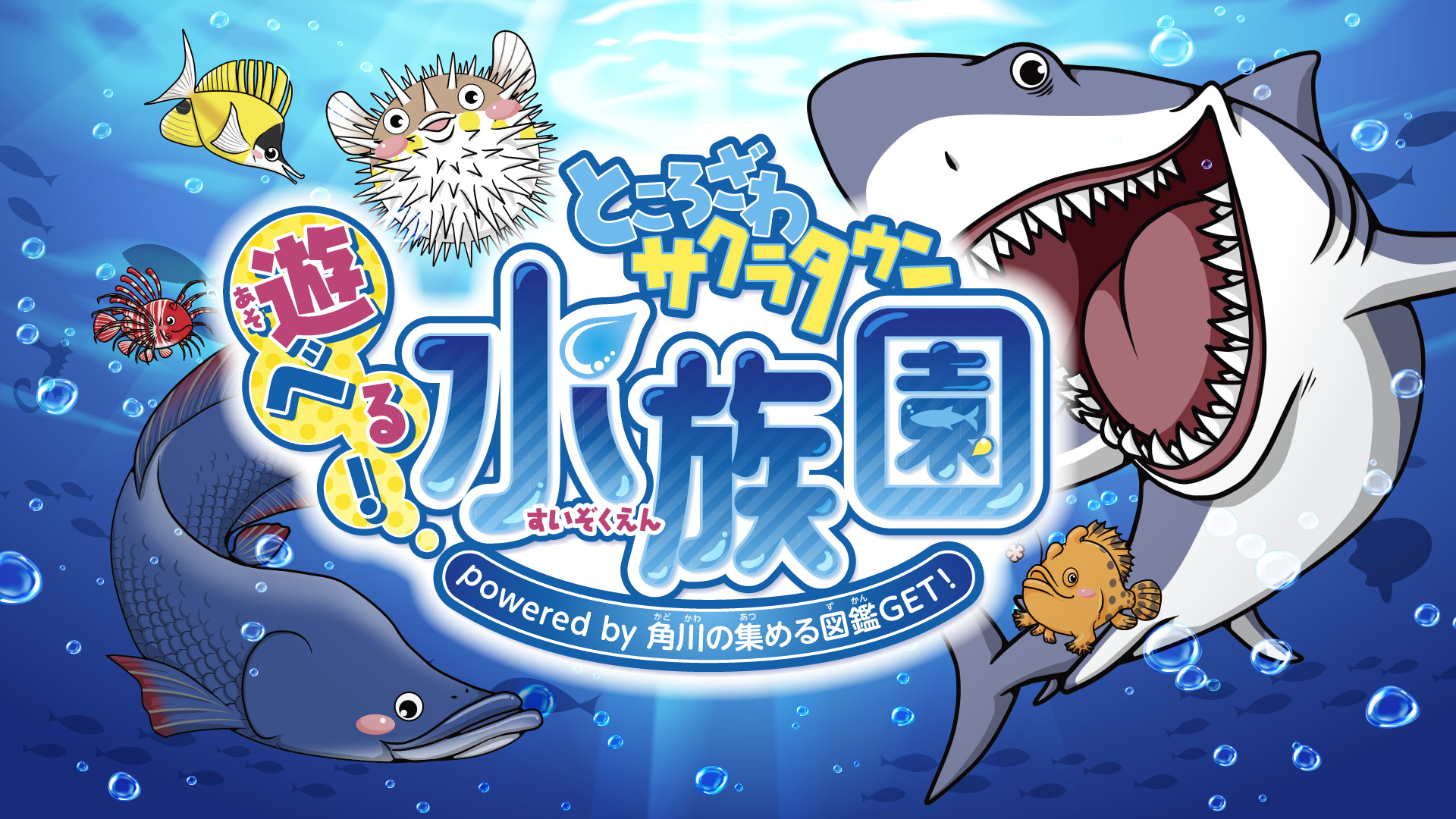 ＊サメ　オーダーページ＊ サメ オーダーページ＊