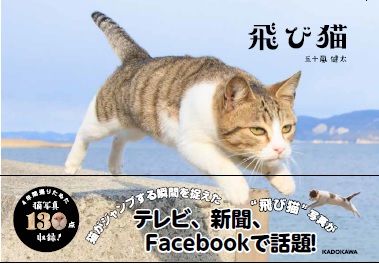 猫がジャンプする瞬間をとらえた 飛び猫 写真集 飛び猫 2月日発売 株式会社kadokawaのプレスリリース
