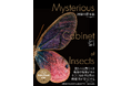 昆虫の超美麗写真集『神秘の標本箱 ‐昆虫‐』発売 2024年度「動物学教育賞」受賞の昆虫博士・丸山宗利らによる待望の最新作!