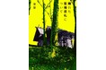 いま最注目のホラー作家・背筋氏の『穢れた聖地巡礼について』『近畿地方のある場所について』KADOKAWAアプリでAR施策を実施!