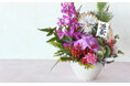 新しい年は福いっぱい!『花時間』では、縁起よく、美しい「お正月の花」を好評発売中!