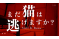 『近畿地方のある場所について』背筋氏がシナリオを手掛けるホラーゲーム『まだ猫は逃げますか?』PV第一弾が発表