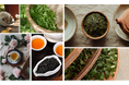 今年の喫茶来(きっさこ)もセミナーやワークショップが充実!お茶をあらゆる角度から体感しよう、お茶の造詣を深める3日間