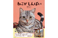 直木賞作家・角田光代さんが初めて書き下ろした猫のお話の絵本『ねこがしんぱい』発売