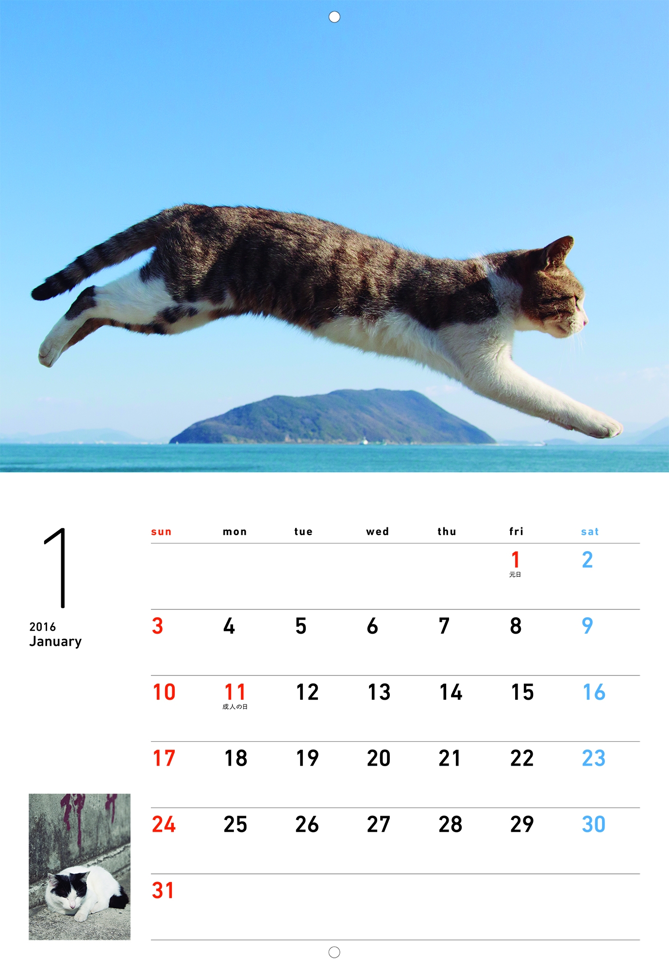 2023年 飛び猫 カレンダー/五十嵐健太-