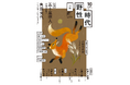『小説　野性時代』10月号配信！ 五十嵐律人、新連載『死神の弁護』スタート！ 角田光代の大人気猫エッセイ待望の第3弾『いつもずっときみを見てる』も掲載！