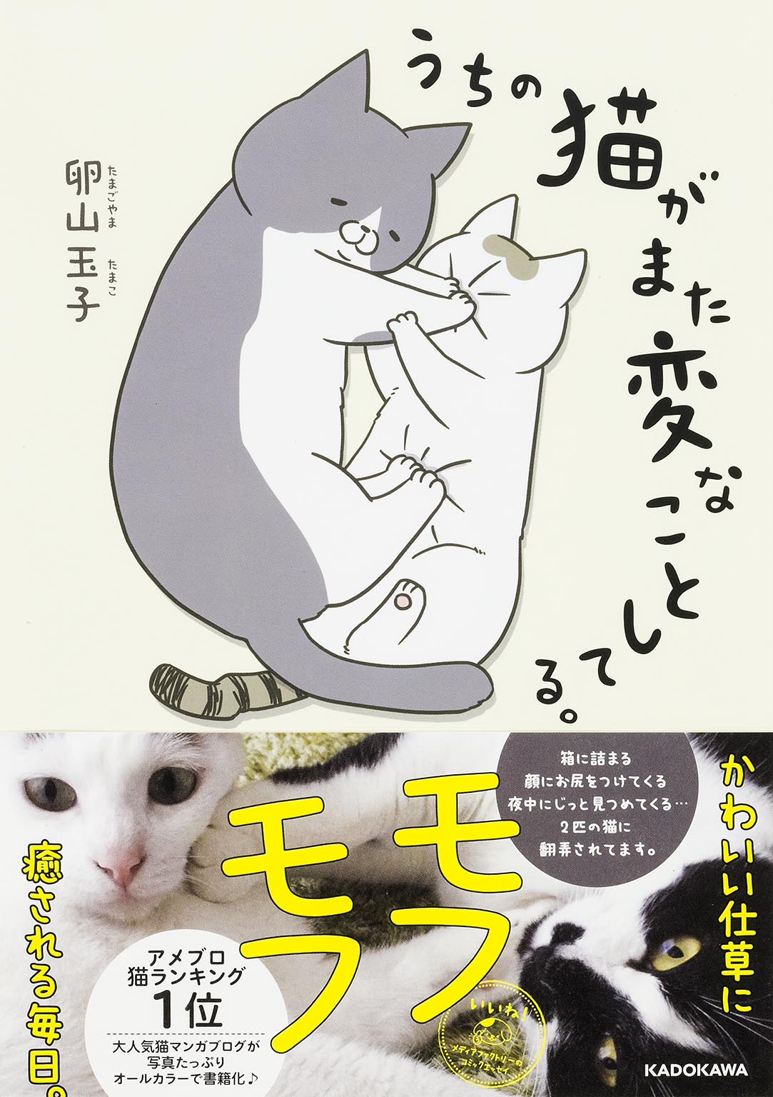 発売即重版が決定 アメブロ猫ランキング1位の大人気猫まんが うちの猫がまた変なことしてる が描きおろし を多数加えて発売 株式会社kadokawaのプレスリリース