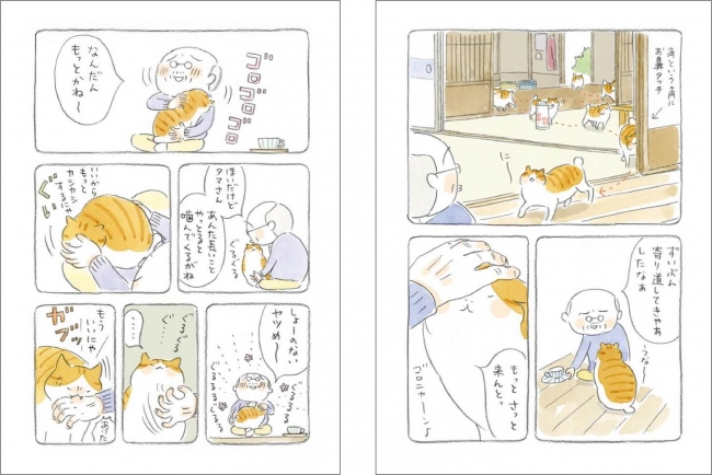 バカの壁 の 養老孟司さんも大絶賛の ねことじいちゃん 続編となる ねことじいちゃん２ が4 21発売 株式会社kadokawaのプレスリリース