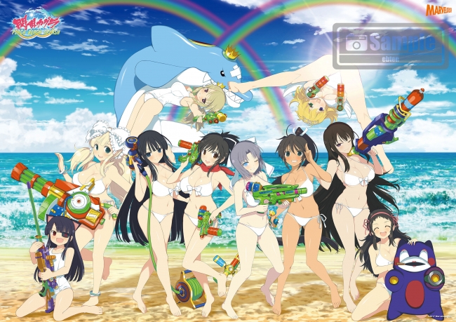 閃乱カグラ PEACH BEACH SPLASH』ファミ通DXパック 5周年記念等身大お