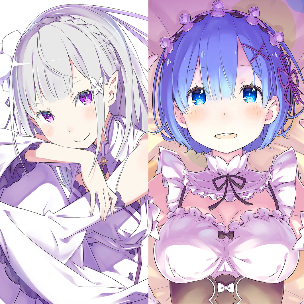 Жизнь с нуля 3. Re Zero ранобэ рем. Re:Zero Rem Ranobe. Ре Зеро Эмилия и рам. Re Zero рем рам и Эмилия.