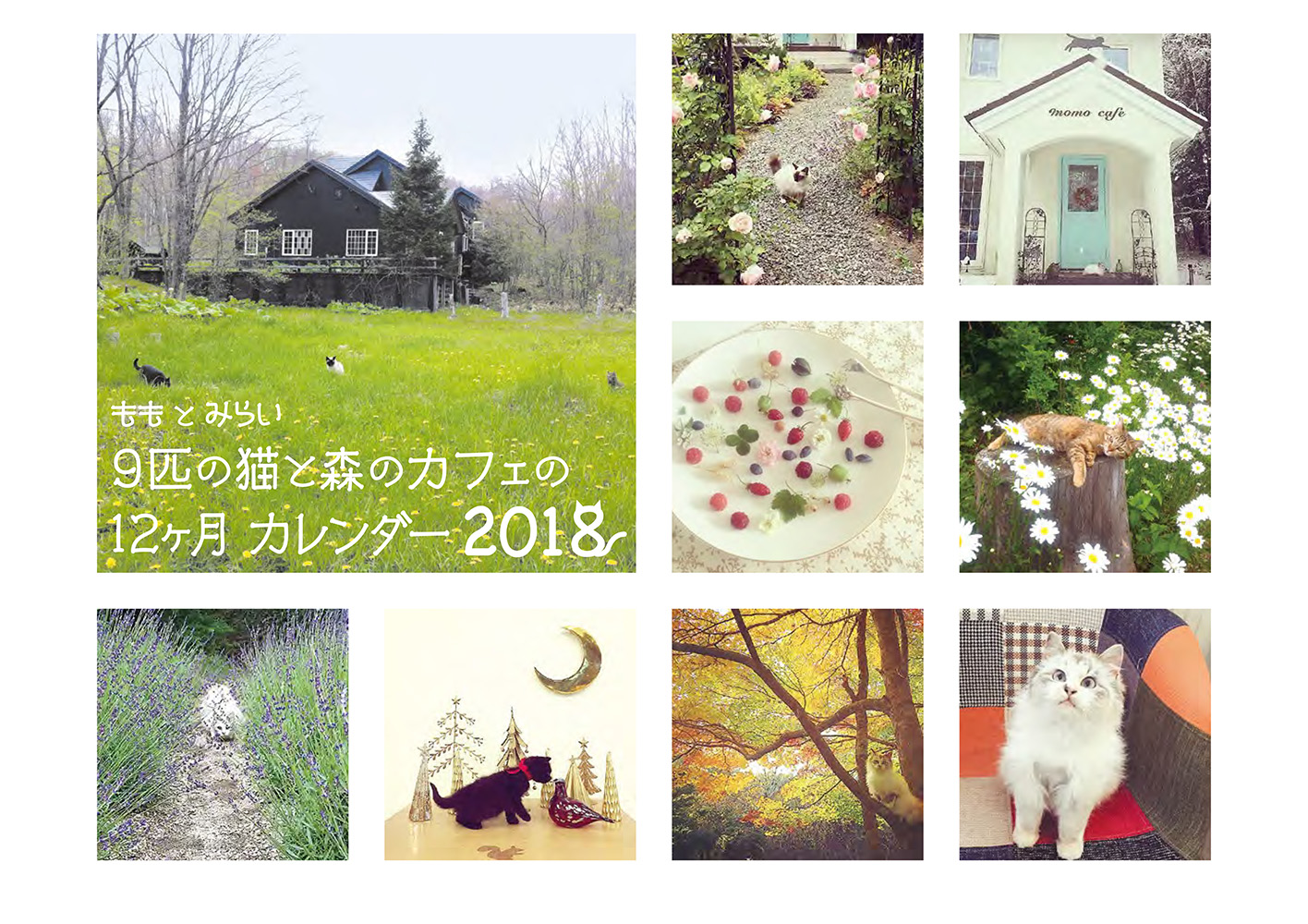 2018年版カレンダー3種同時発売 もも と みらい コウテイペンギン ふともも をラインナップ 株式会社kadokawaのプレスリリース