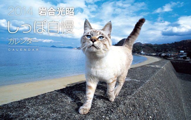 付録の「岩合光昭2014しっぽ自慢カレンダー」は、様々な動物のしっぽをテーマとした、「オトナファミ」ならではのオリジナルコンセプトカレンダー