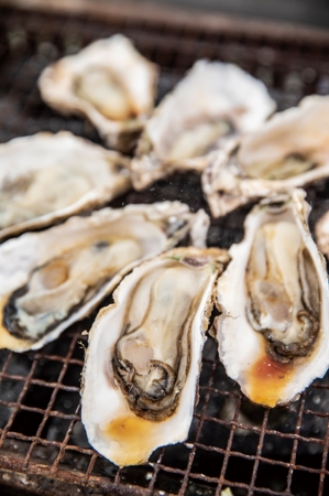 糸島市の福吉漁港のブランド牡蠣「一粒カキ」は身が締まって甘い