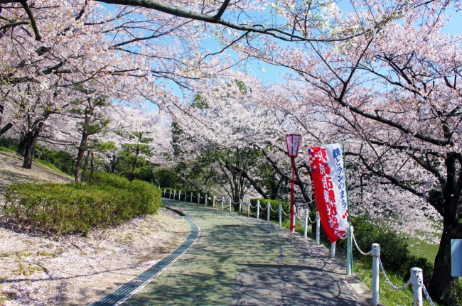 桜名所と遊びスポットを併せて紹介するので、まるっと1日楽しめる！