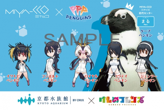 京都水族館アイドルペンギンユニット Miya Cco とけものフレンズ Ppp がコラボ 来館者にはコラボ限定デザインポストカードを配布 株式会社kadokawaのプレスリリース