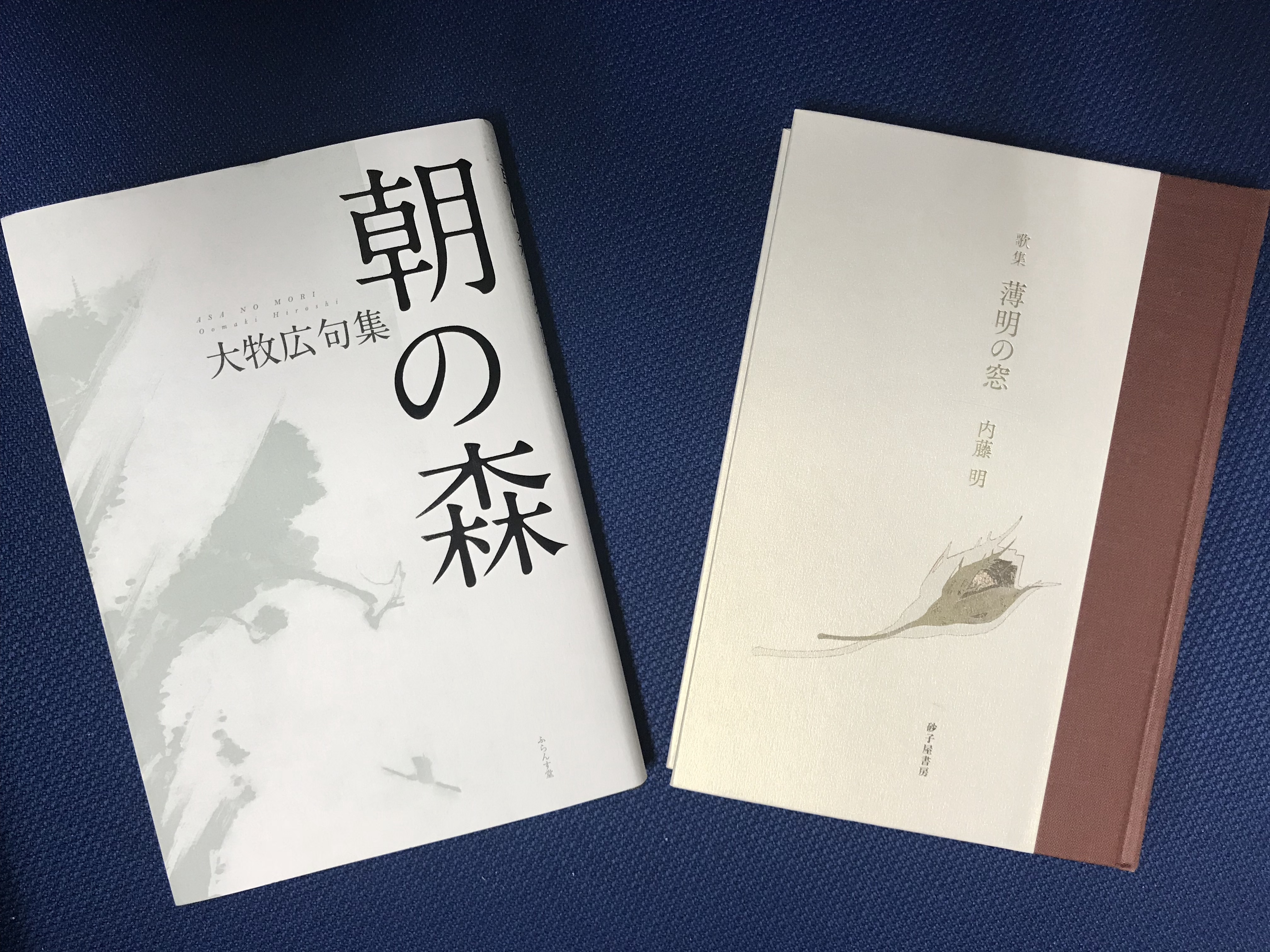 BADX ロクサーニ マグナス 18インチ バリ溝
