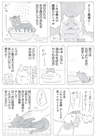 にゃんと役に立つ猫マンガ 宇仁田ゆみ ねこまき ミューズワーク ら 猫 好き漫画家１６人による ねこといっしょ 発売 株式会社kadokawaのプレスリリース
